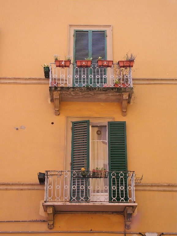 Photo: Bologna