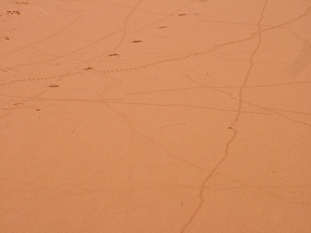 Photo: Monument Valley
