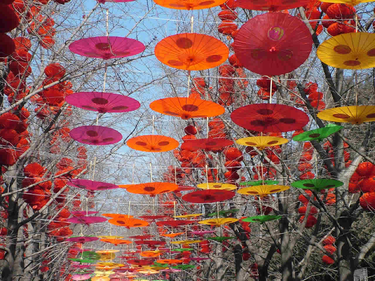 © Ron Munro info@munroweb.org Photo: Chinese New Year, Beijing