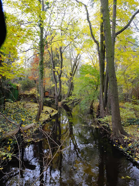 DSCF0149  Tegeler Flie�