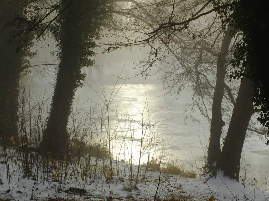 DSCF0245  Waldsee, Hermsdorf, Berlin