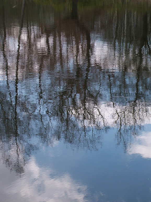 DSCF1895  Reflections Hohen Neuendorf