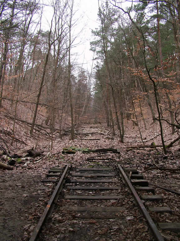 DSCF5818, Abandoned SBahn Line, Dreilinden