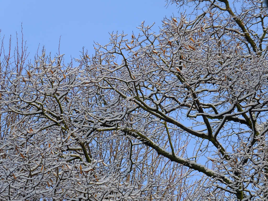 DSCF0595, Glienicke-Nordbahn