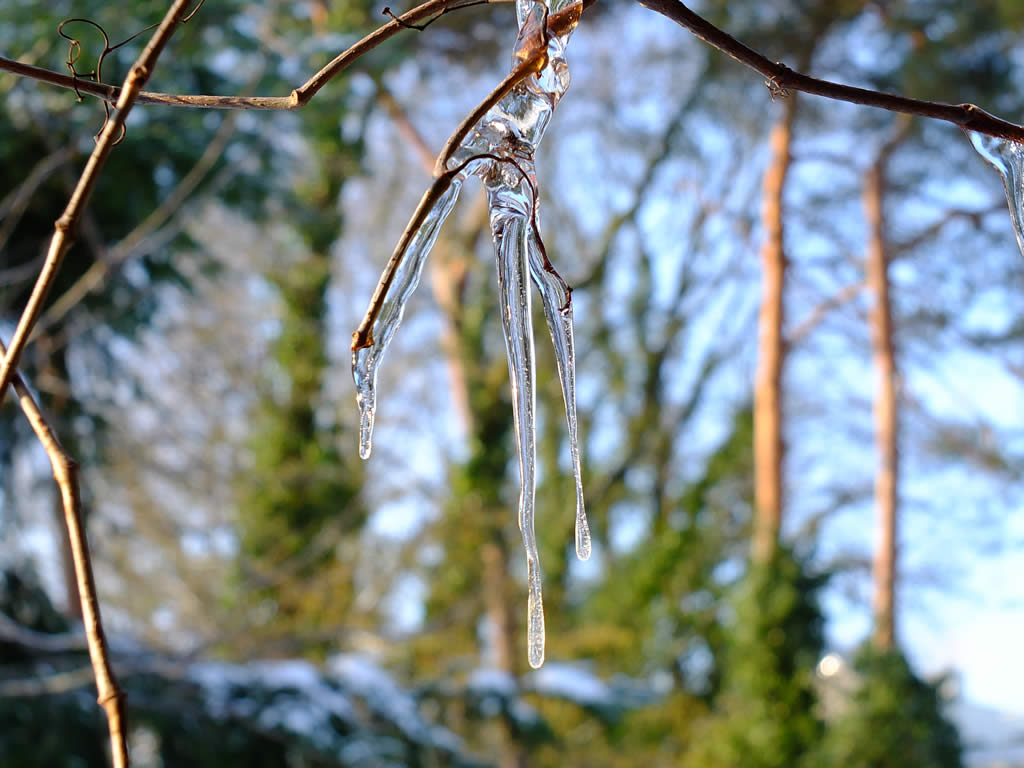 DSCF0616, Glienicke-Nordbahn