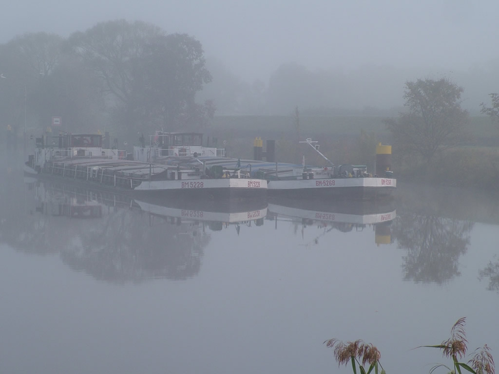 DSCF5004, The Oder near Schwedt