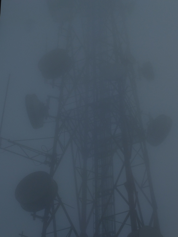 DSCF3362: Cloud Forest, Cameron Highlands