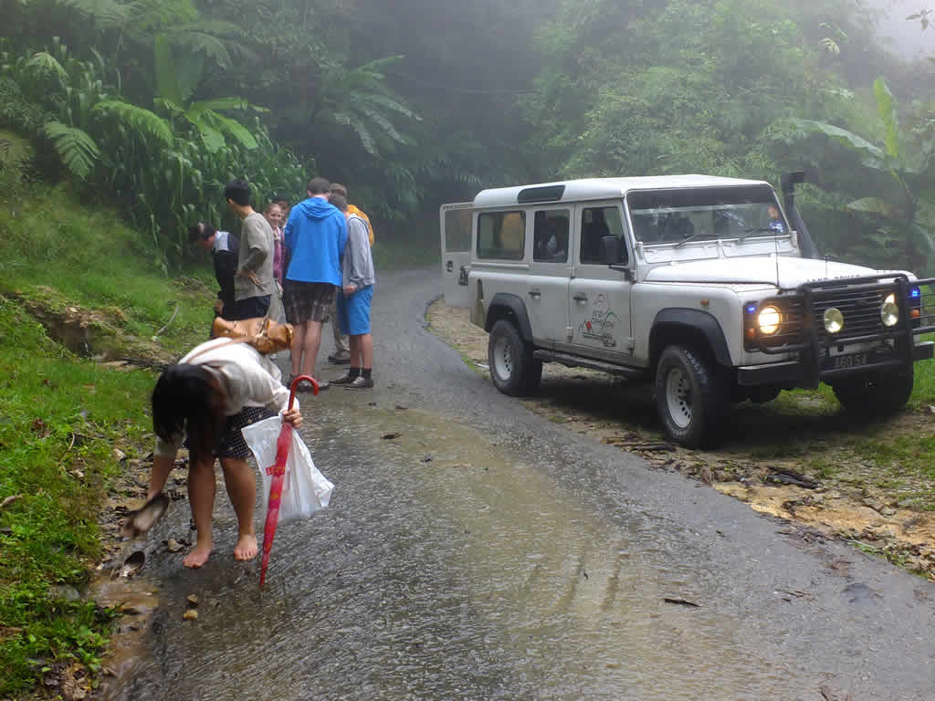 DSCF3421: Cloud Forest, Cameron Highlands