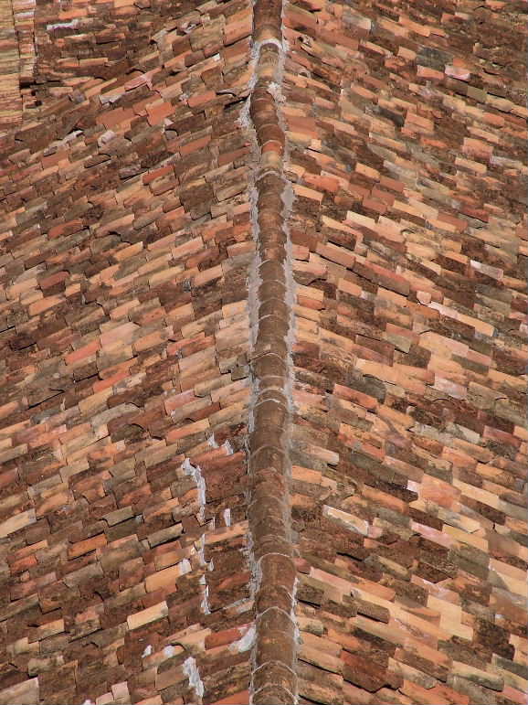 DSCF3364, Roof tiles Trinidad