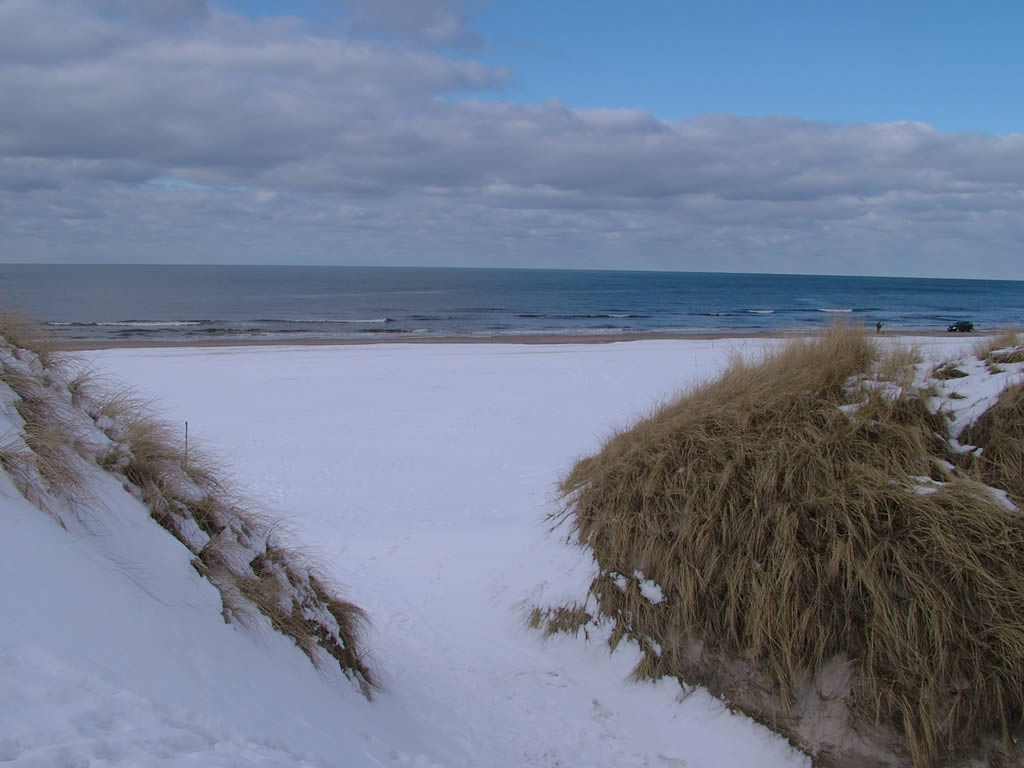 DSCF0617  Beach in Winter, Blockhus