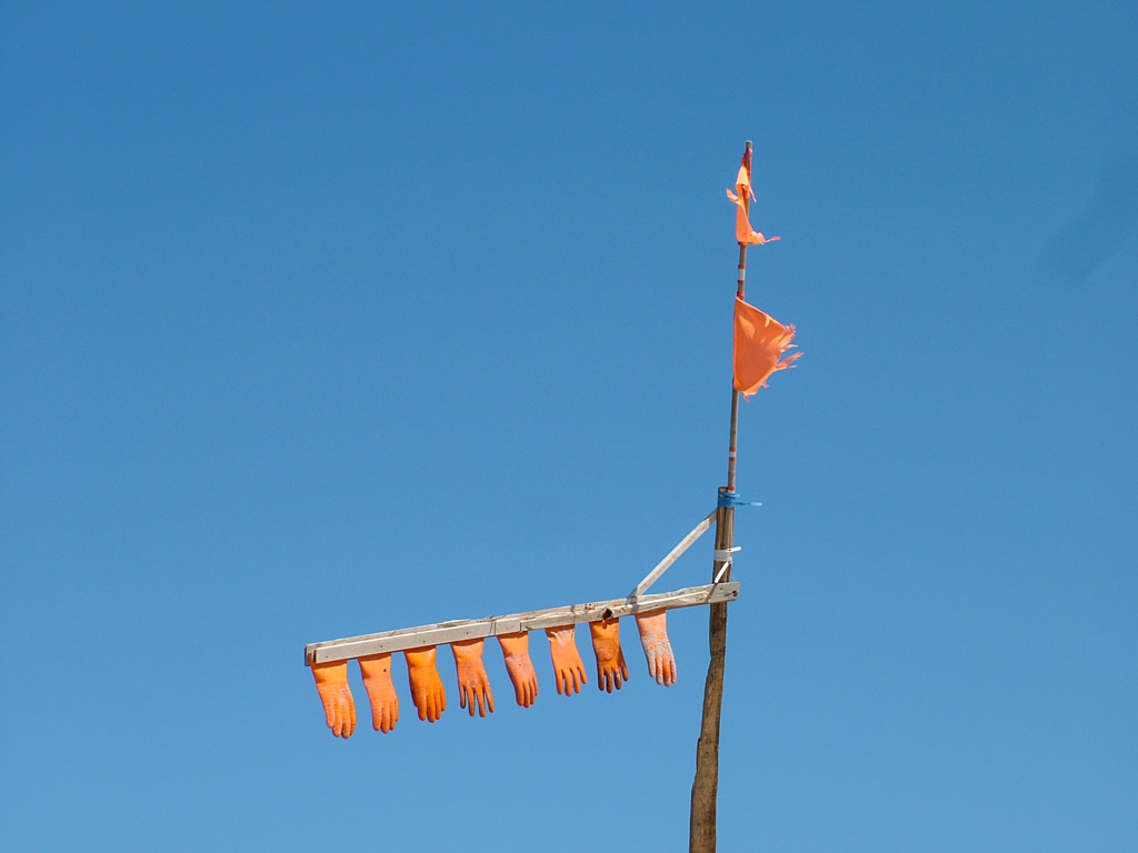 DSCF1226  L�nstrup - L�kken