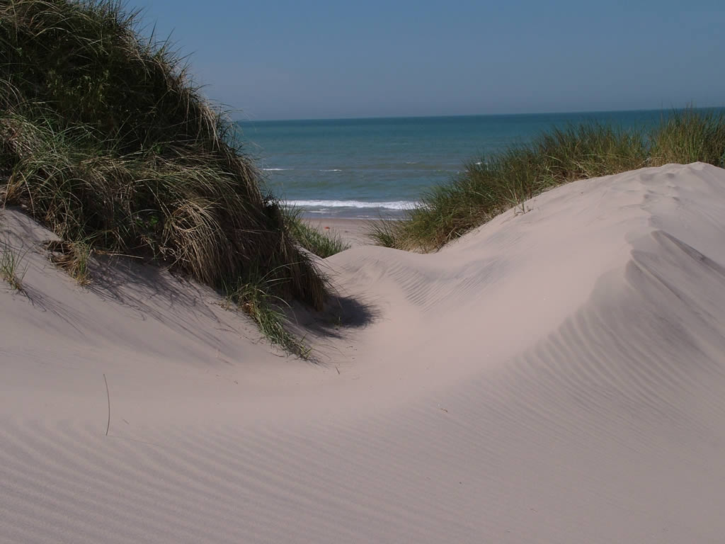 DSCF1608  Hirtshals - Lonstrup