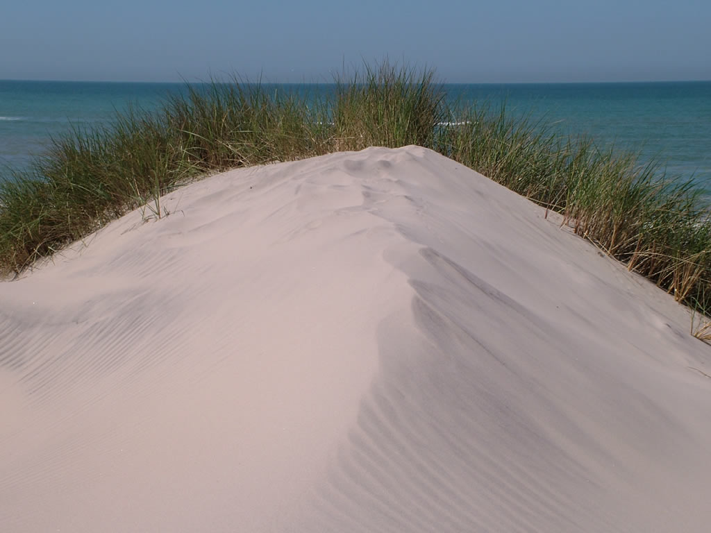 DSCF1611  Hirtshals - Lonstrup