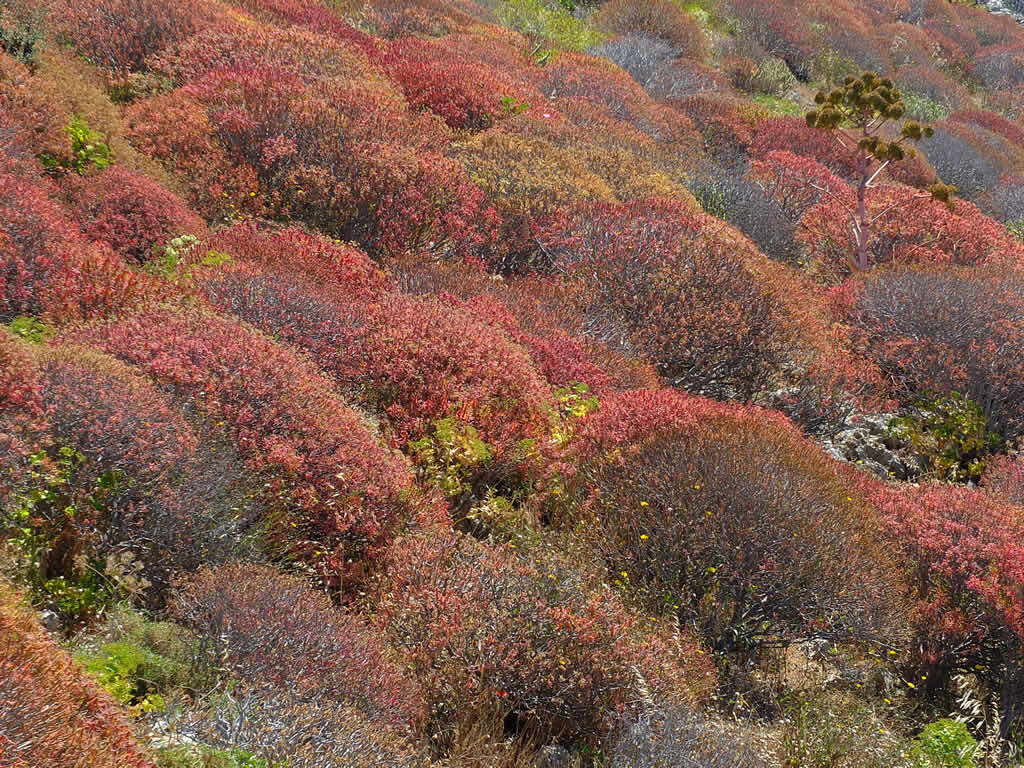 DSCF9293, Folegandros