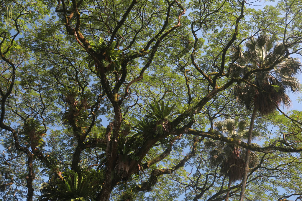 IMG_0801: Kuala Lumpur