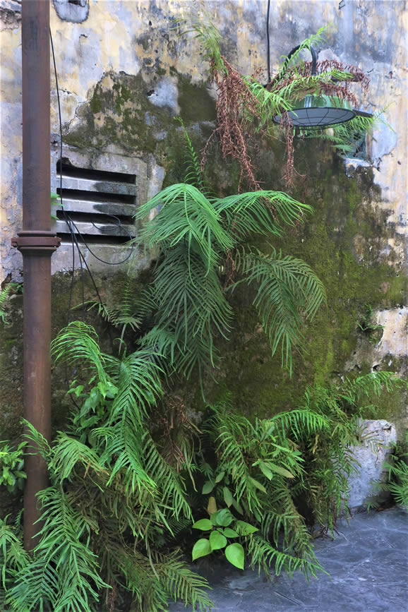 IMG_0832_E: Kuala Lumpur