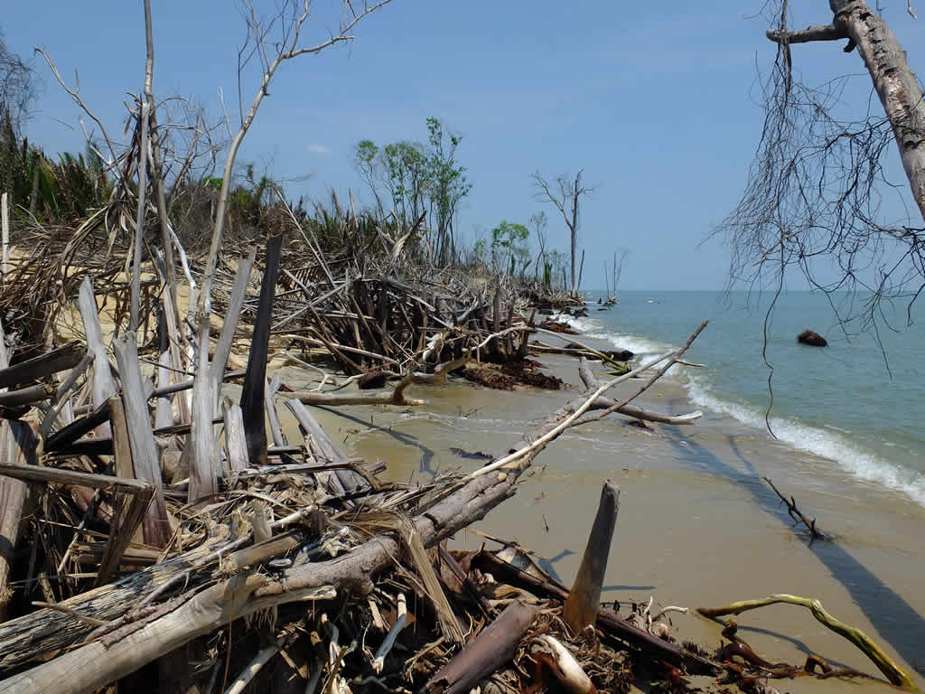 DSCF0450: Winter storm damage, PCB