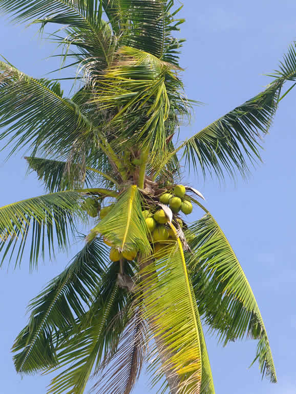 DSCF4104: Langkawi