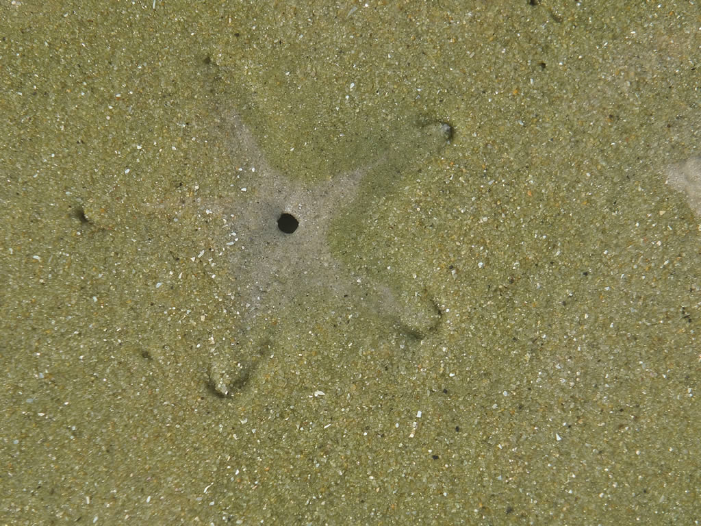 DSCF8892: Langkawi