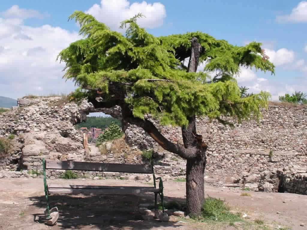 DSCF7697, Skopje, Macedonia