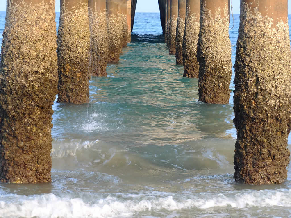 DSCF1050: Juara, Pulau Tioman