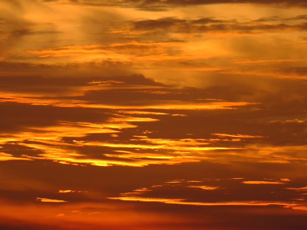 DSCF4590, Teluk Nipah, Pangkor