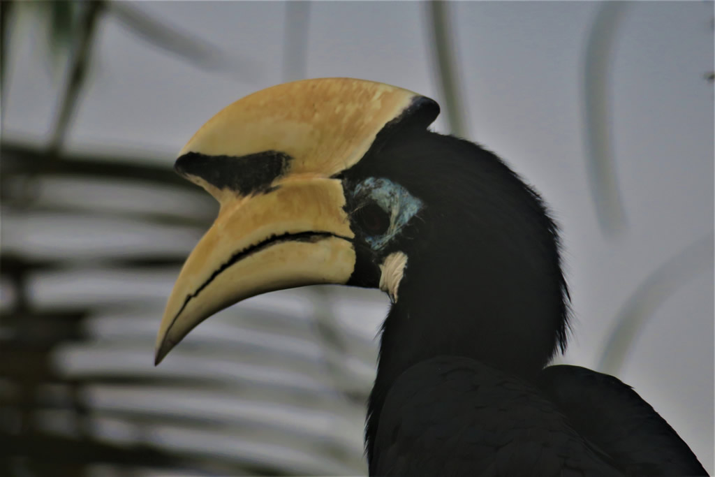 IMG_0726: Teluk Nipah, Pangkor