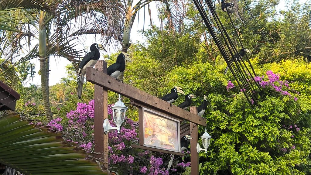 WP_20190509_18_44_04_Pro: Teluk Nipah, Pangkor