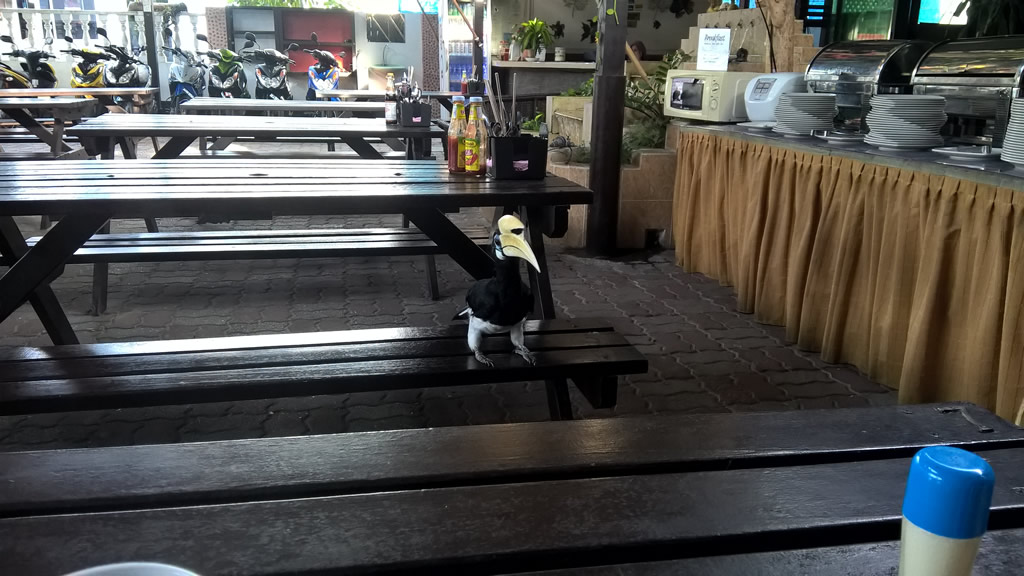 WP_20190511_08_24_53_Pro: Teluk Nipah, Pangkor