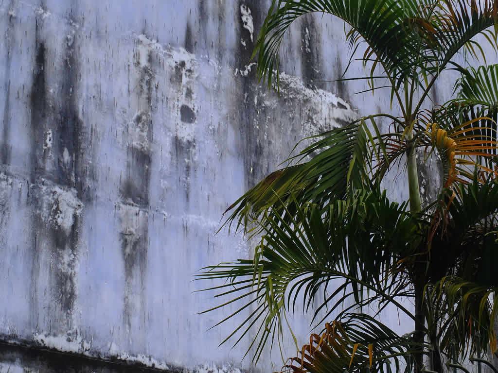 DSCF1232: Georgetown