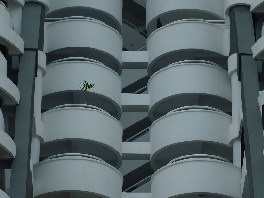 DSCF3486: Georgetown