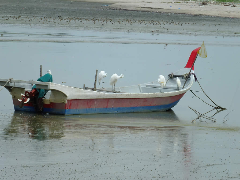 DSCF3491: Pulau Penang