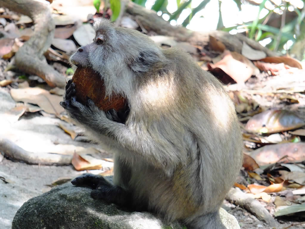 DSCF3613: Pulau Penang