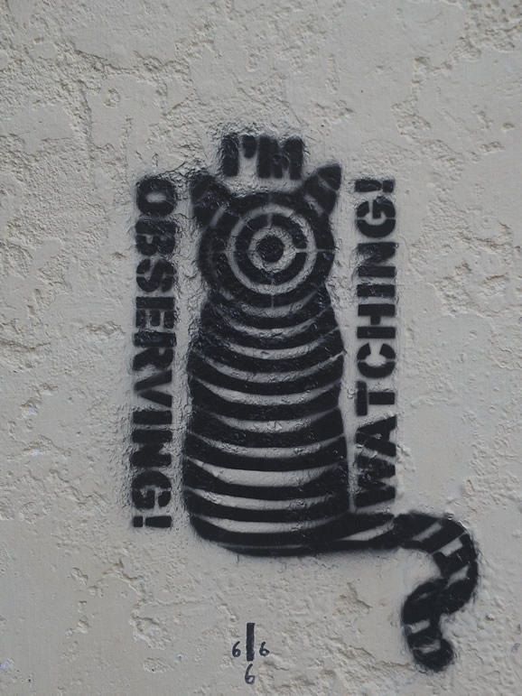 DSCF8222: Georgetown