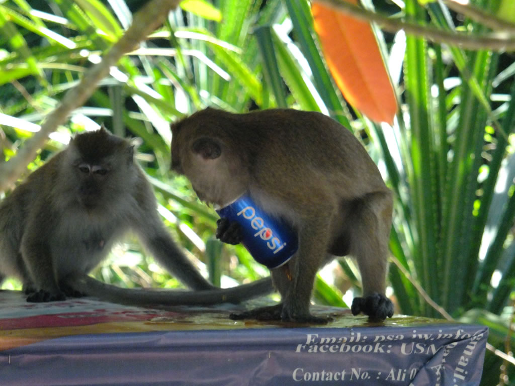 DSCF9507: Pulau Penang