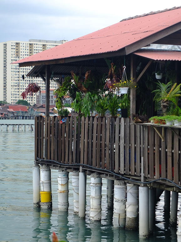 DSCF9562: Georgetown