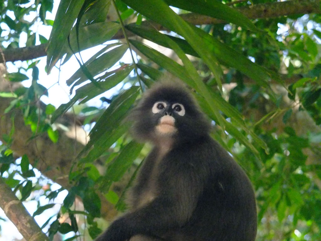 DSCF9736: Pulau Penang