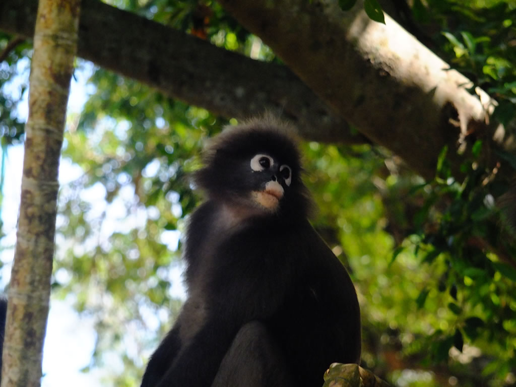 DSCF9760: Pulau Penang