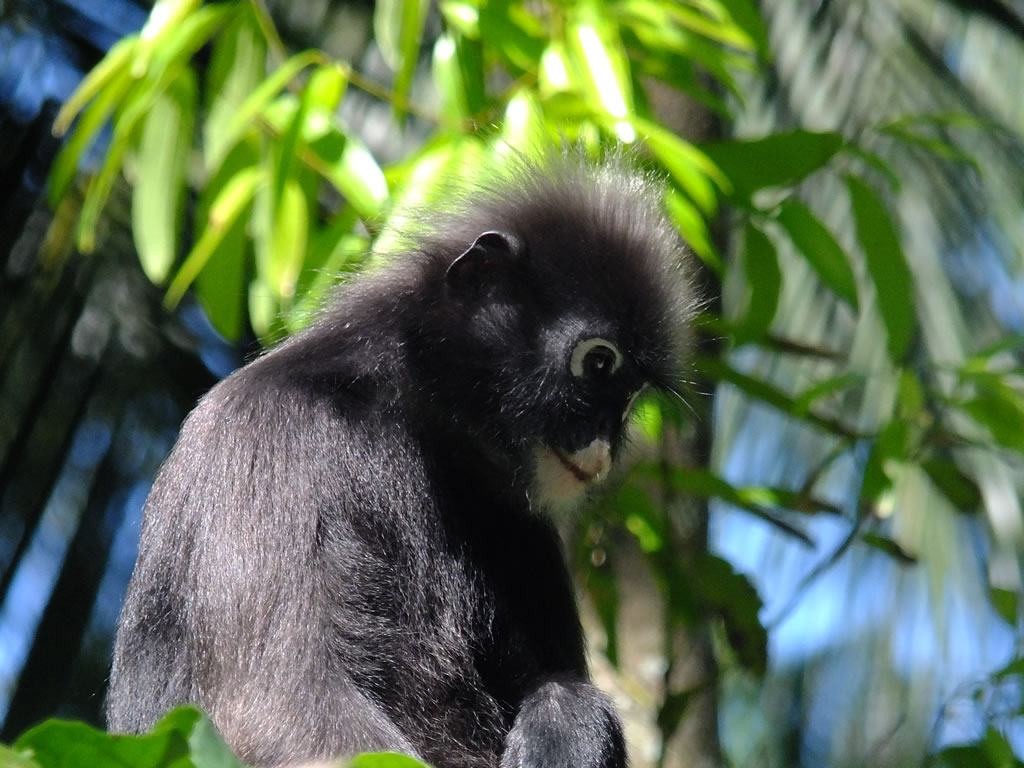 DSCF9806: Pulau Penang