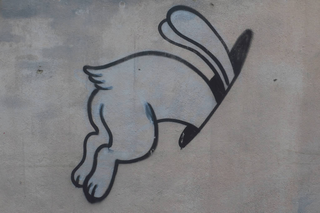 IMG_0246: Georgetown