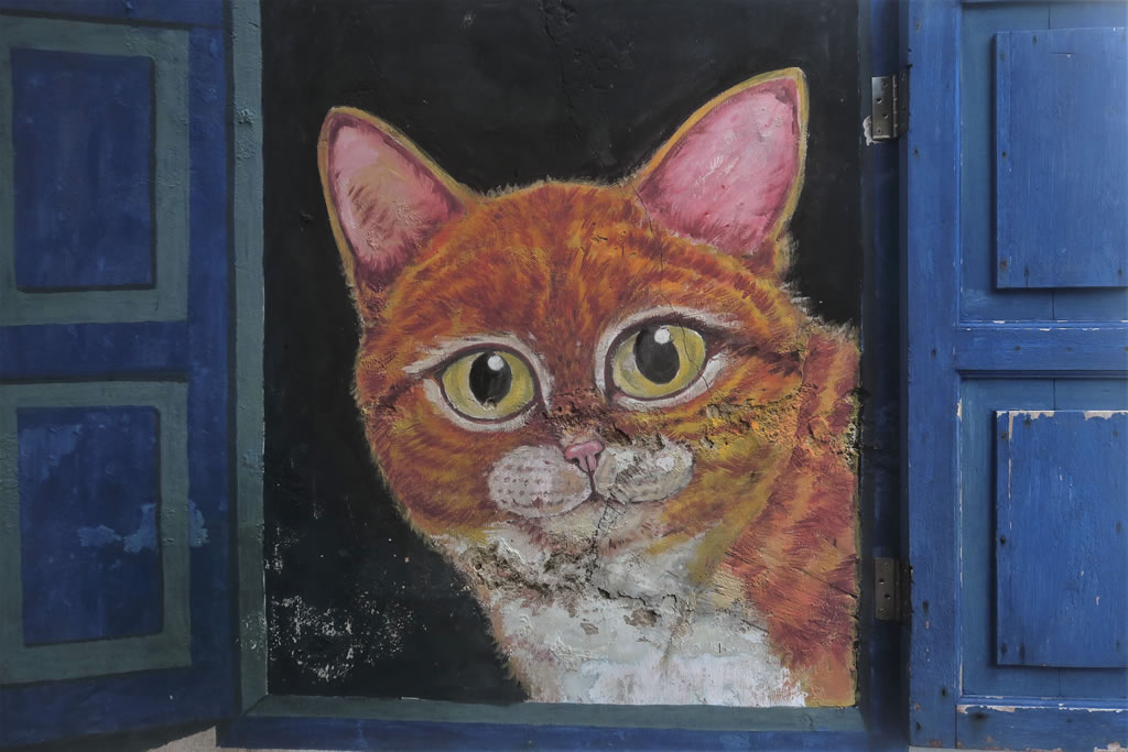 IMG_0281_E: Georgetown