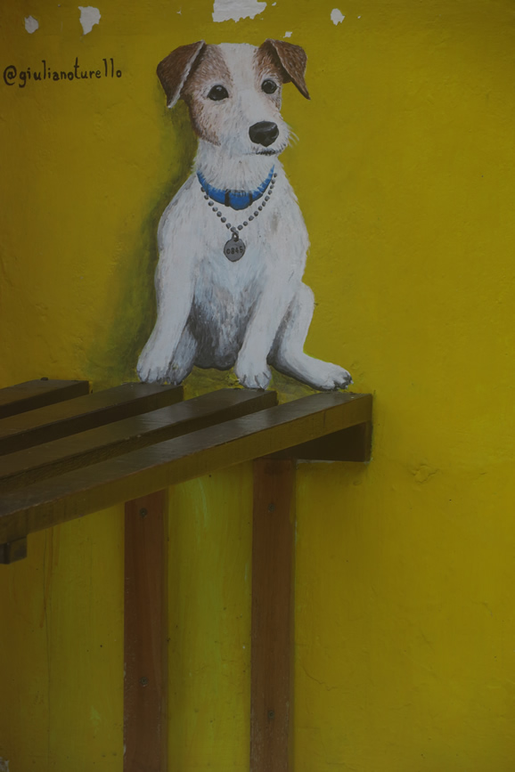 IMG_0411: Georgetown