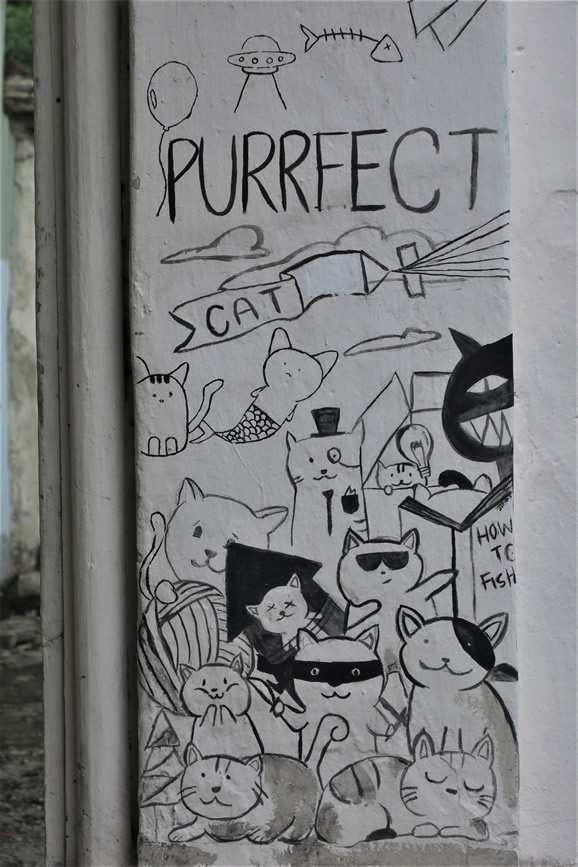 IMG_0421: Georgetown