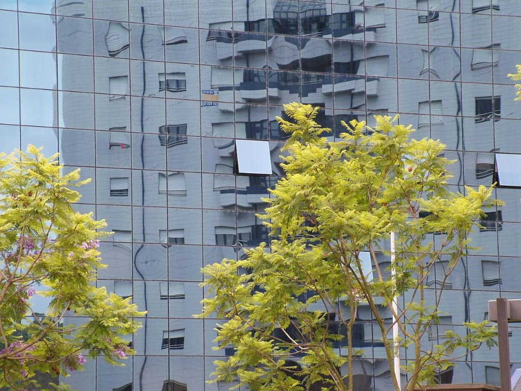 Photo: Reflections
