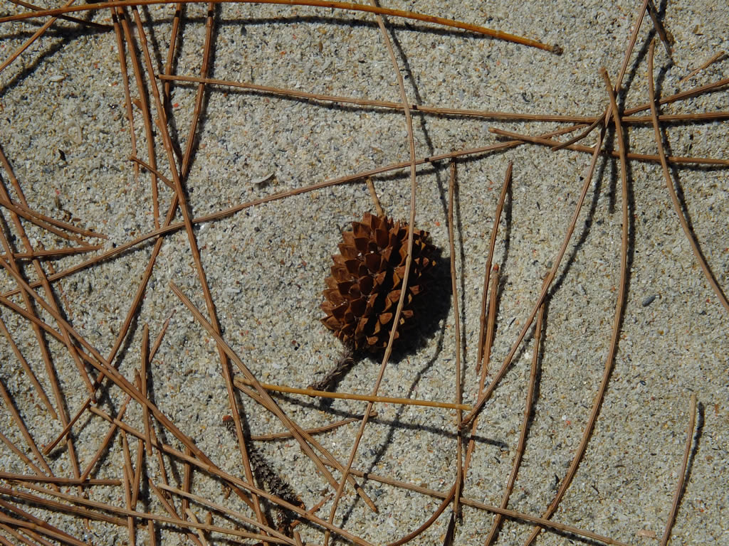 DSCF0110: Tip of Borneo  