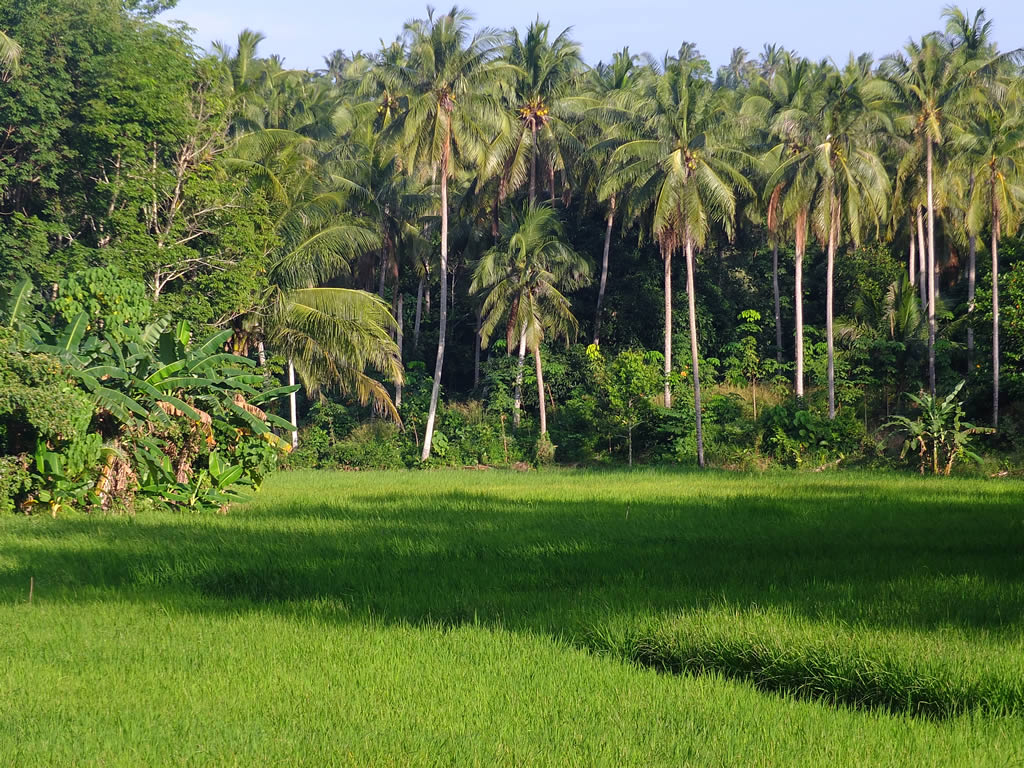 DSCF0154: Tip of Borneo  