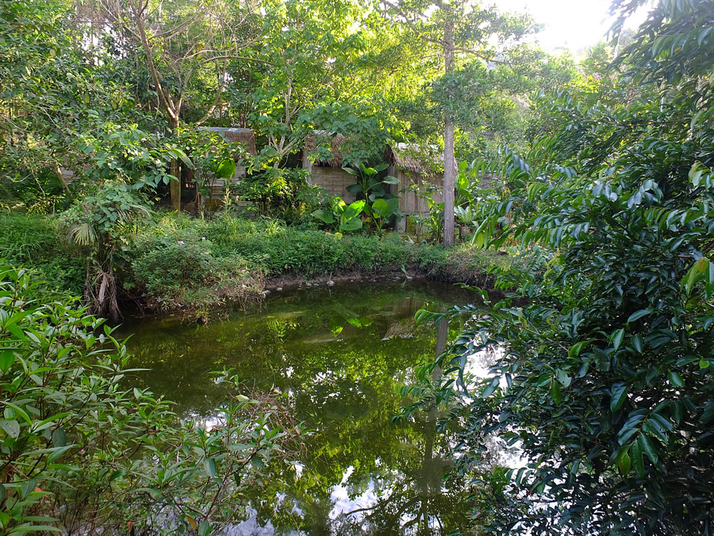 DSCF0157: Tip of Borneo  