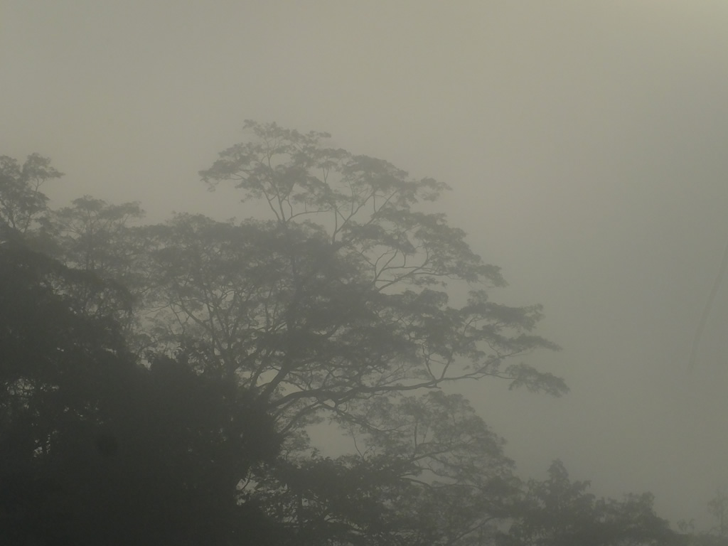 DSCF0200 Uncle Tan Camp  