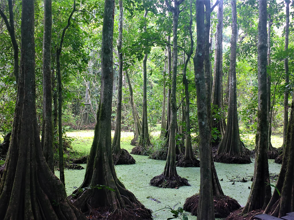 DSCF0219_E Uncle Tan Camp  