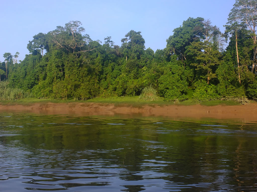 DSCF0242 Uncle Tan Camp Tip of Borneo  